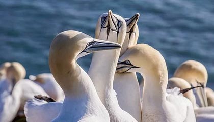 衢州伴游，定制QQ：3494206190微信：act1322